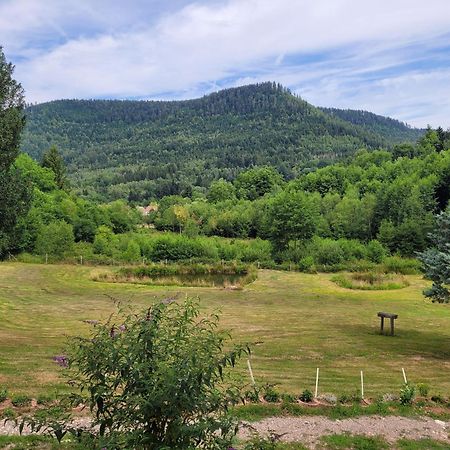 Gite Forestier Du Moulin Raon-sur-Plaine Exterior foto