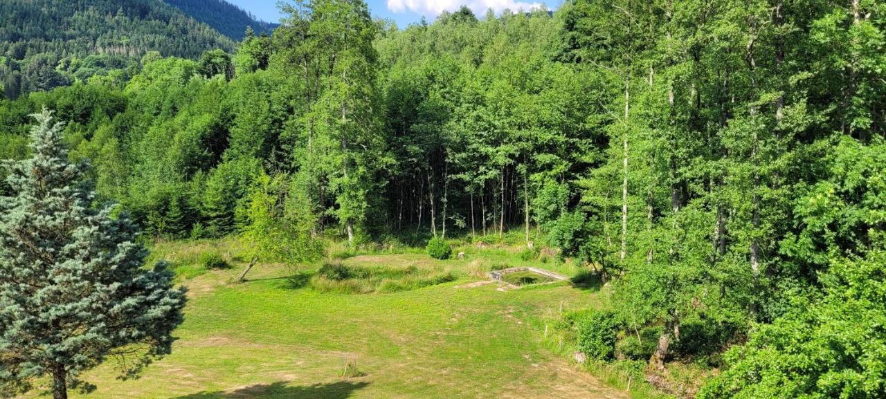 Gite Forestier Du Moulin Raon-sur-Plaine Exterior foto