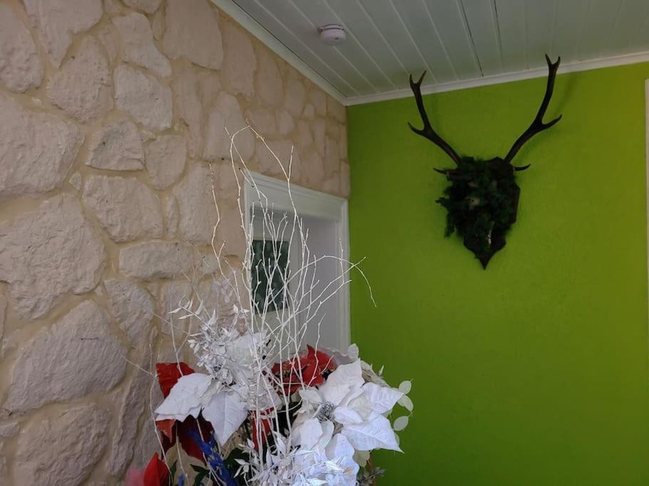 Gite Forestier Du Moulin Raon-sur-Plaine Exterior foto