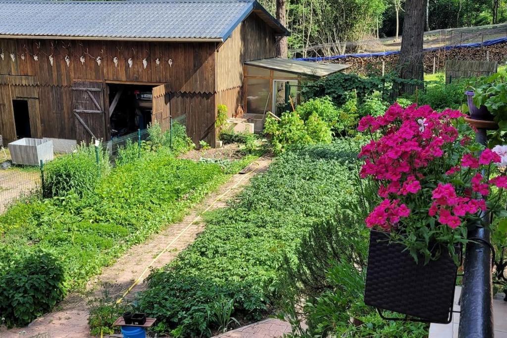 Gite Forestier Du Moulin Raon-sur-Plaine Exterior foto